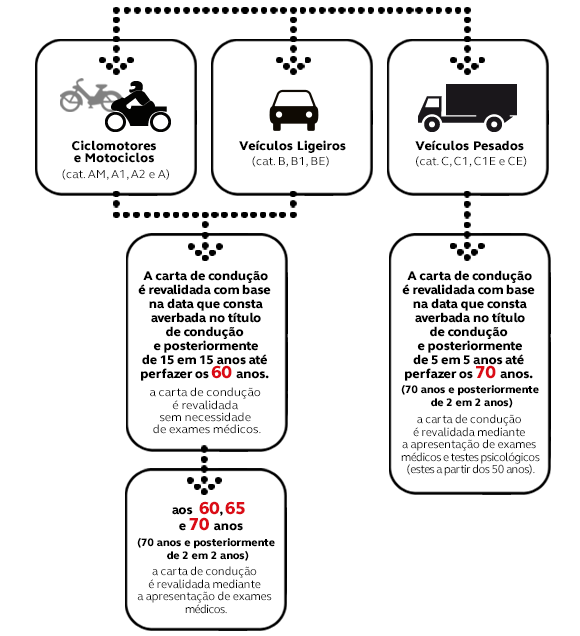 Serviços de tradução rápida e precisa da carta de condução